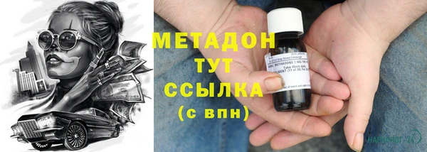 индика Осинники