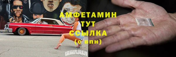 индика Осинники