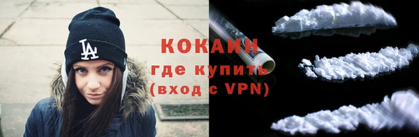 индика Осинники