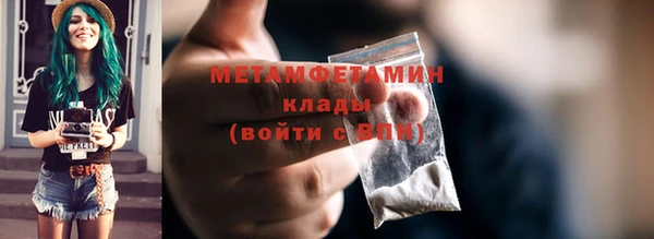 индика Осинники
