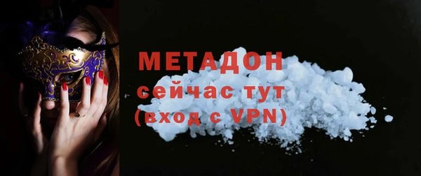 индика Осинники