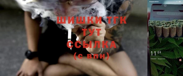 индика Осинники