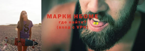 индика Осинники