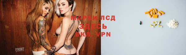индика Осинники