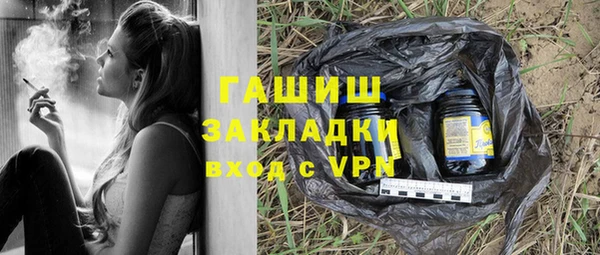индика Осинники