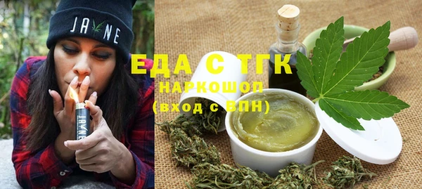 индика Осинники