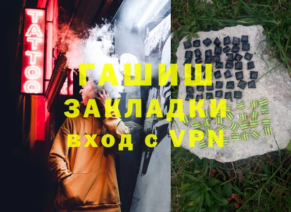 индика Осинники