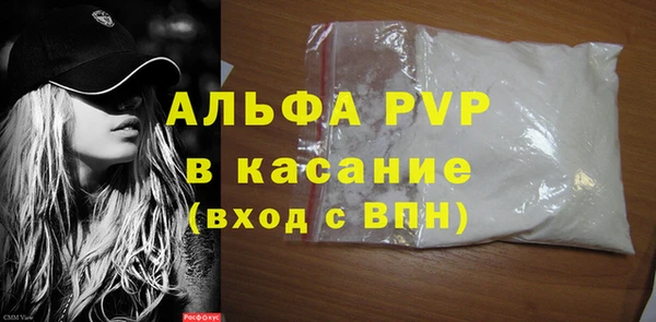 индика Осинники