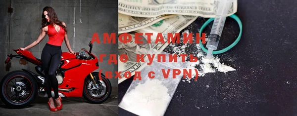 индика Осинники