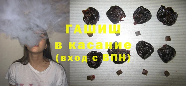 индика Осинники