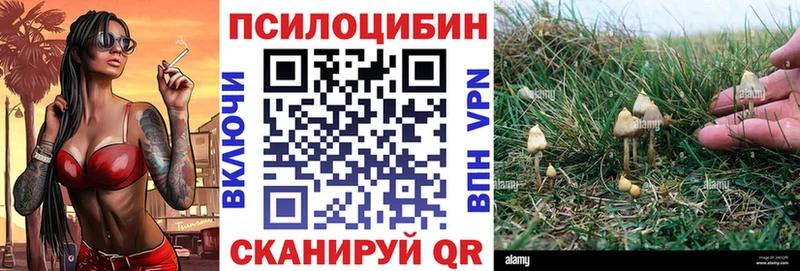 даркнет сайт  Владикавказ  Псилоцибиновые грибы прущие грибы 