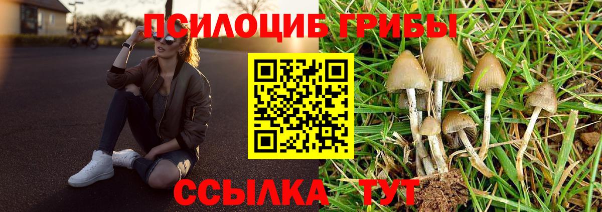 Владикавказ  Псилоцибиновые грибы Cubensis  Вход с VPN  Псилоцибиновые грибы мицелий 